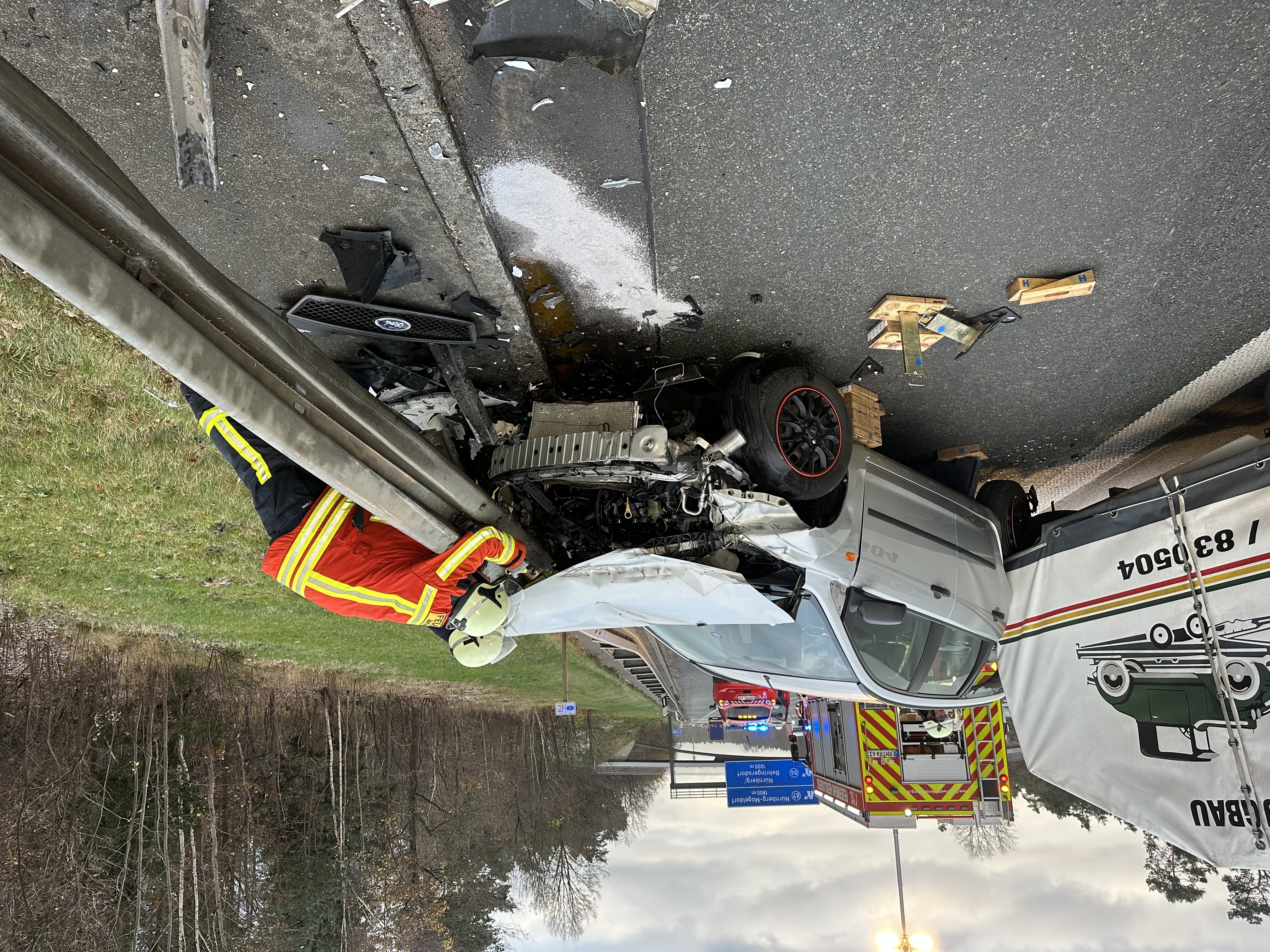 Delfino 2211242266.jpg